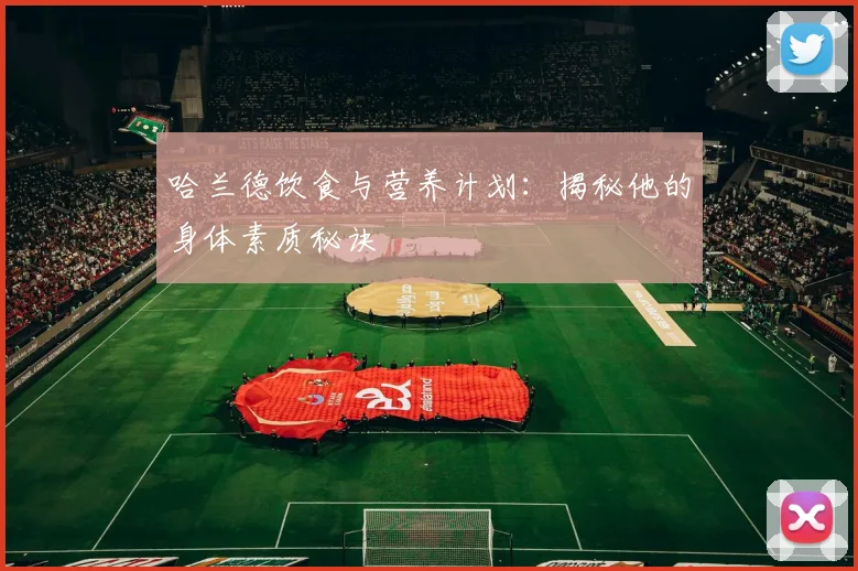 哈兰德饮食与营养计划：揭秘他的身体素质秘诀