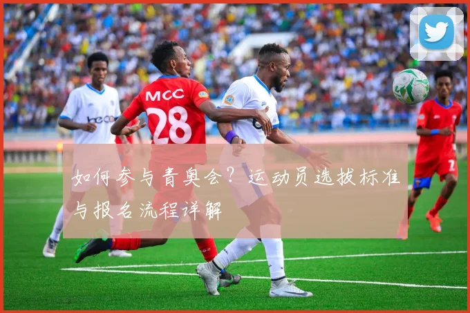 如何参与青奥会?运动员选拔标准与报名流程详解