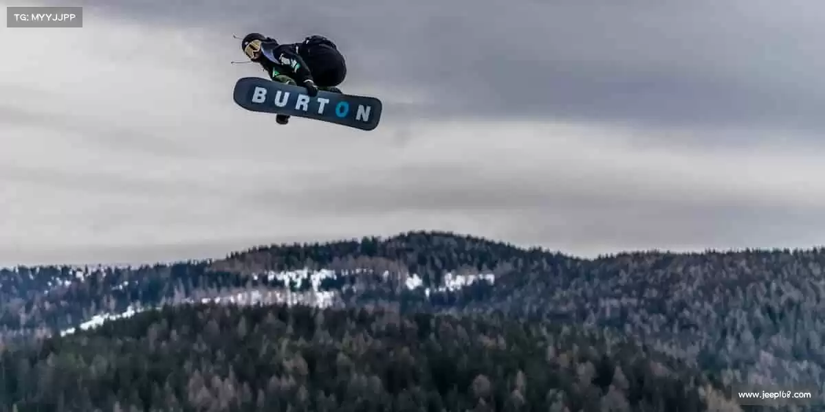 行业领先的理由